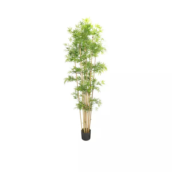 Faux Japanese Bamboo Tree Large - 2.3m – Jenny Robert Exclusive Décor