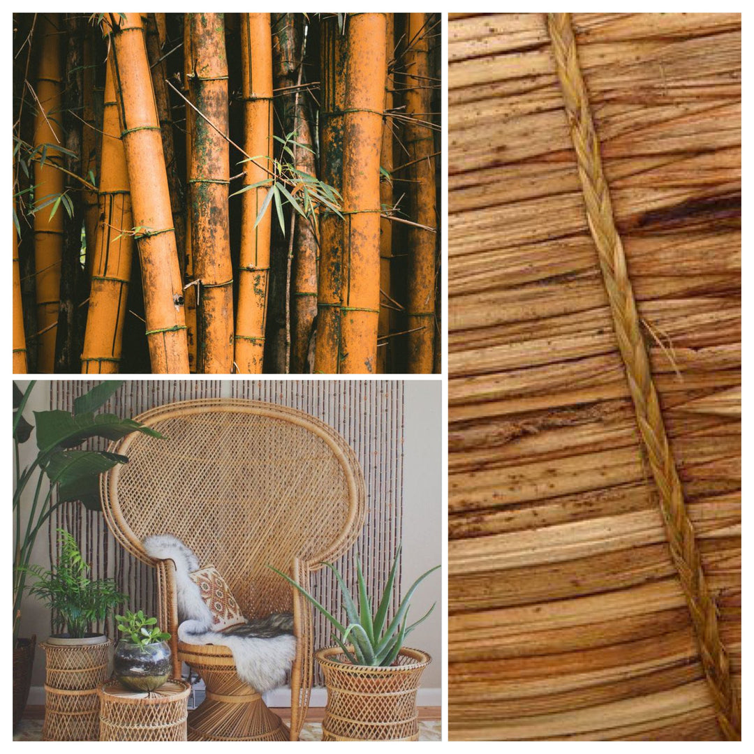 Bamboo, wicker, rattan and cane décor is so on trend