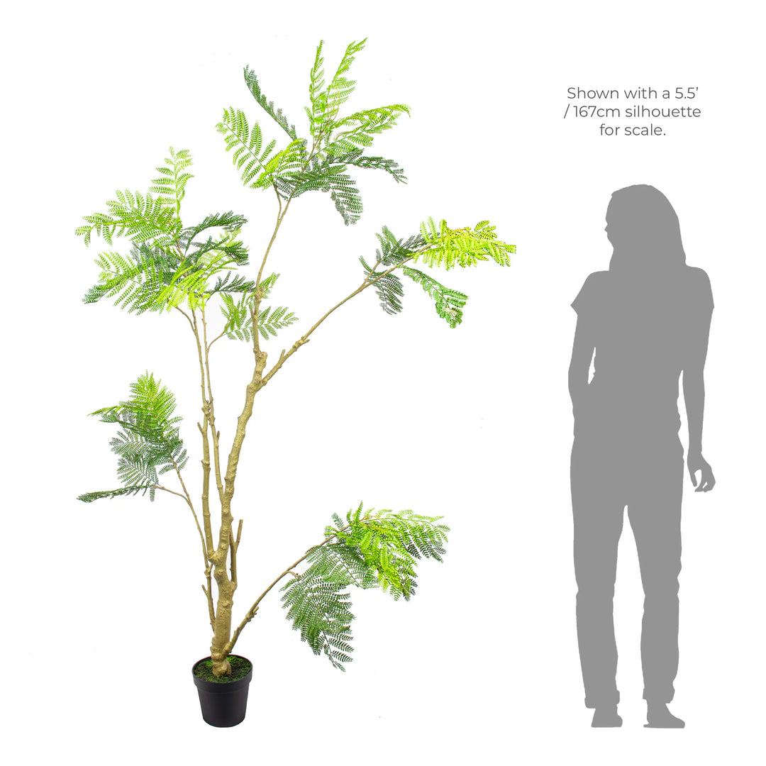 Faux Acacia Tree - 2.10m