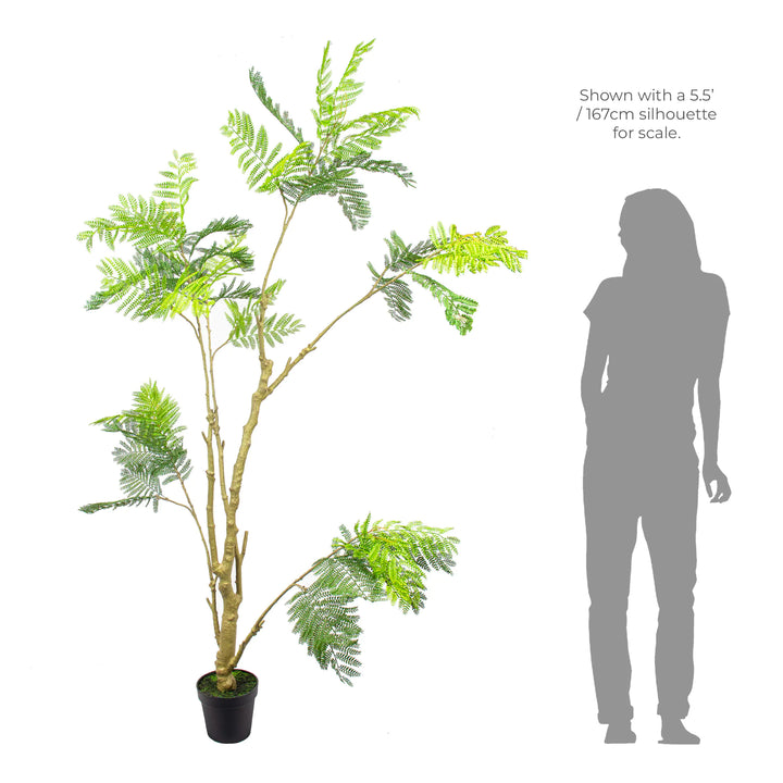 Faux Acacia Tree - 2.10m