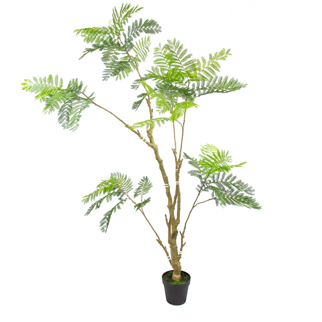 Faux Acacia Tree - 2.10m