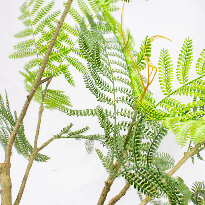 Faux Slender Acacia Tree - 2.10m