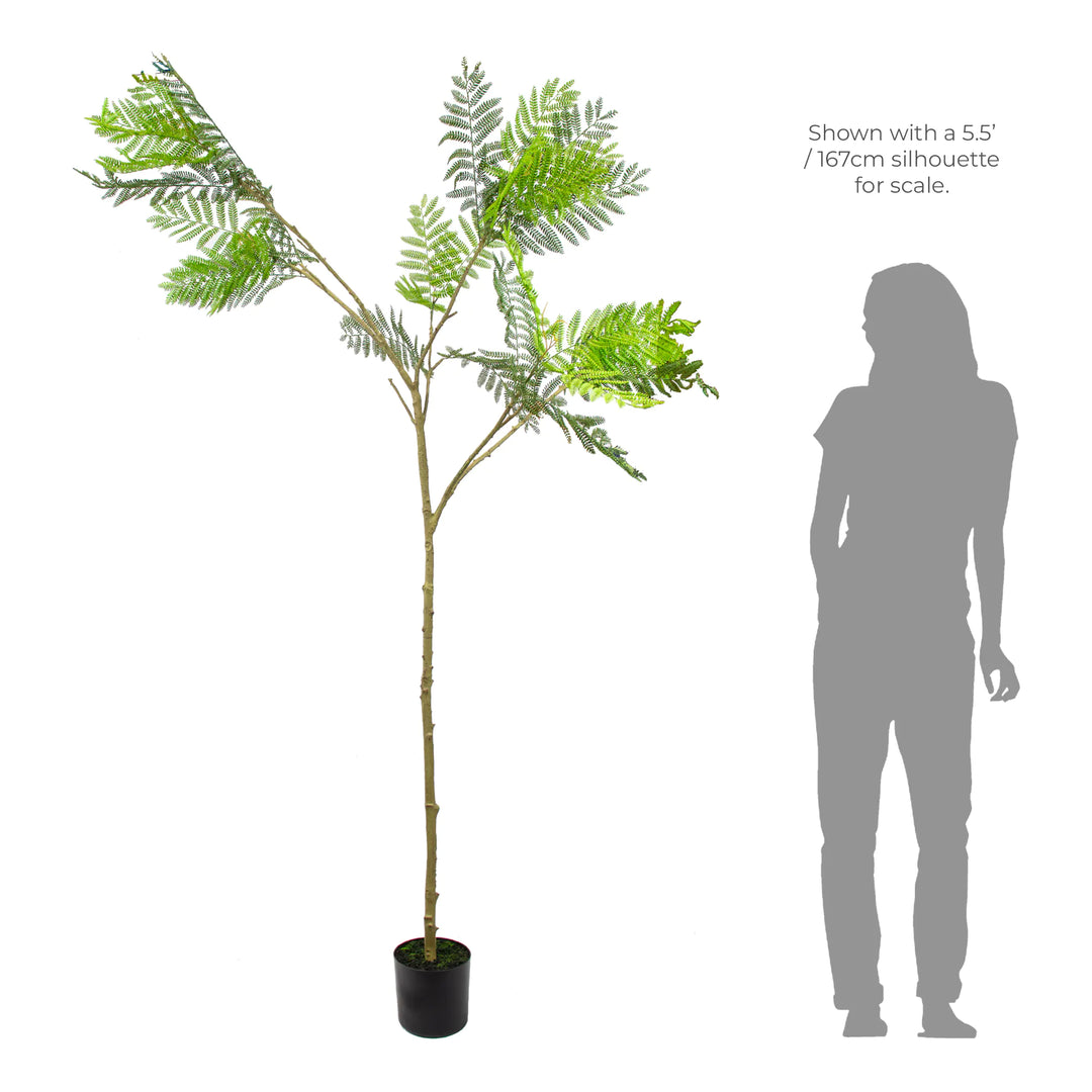 Faux Slender Acacia Tree - 2.10m