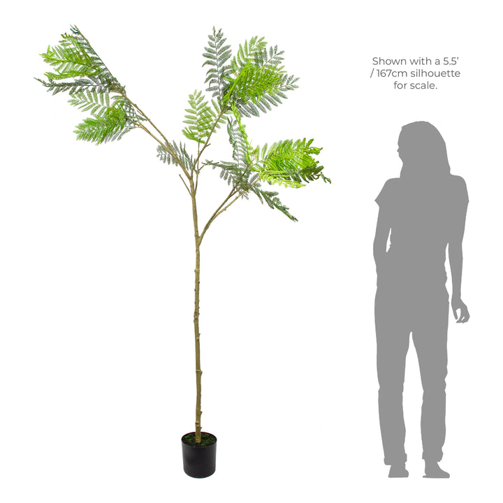 Faux Slender Acacia Tree - 2.10m