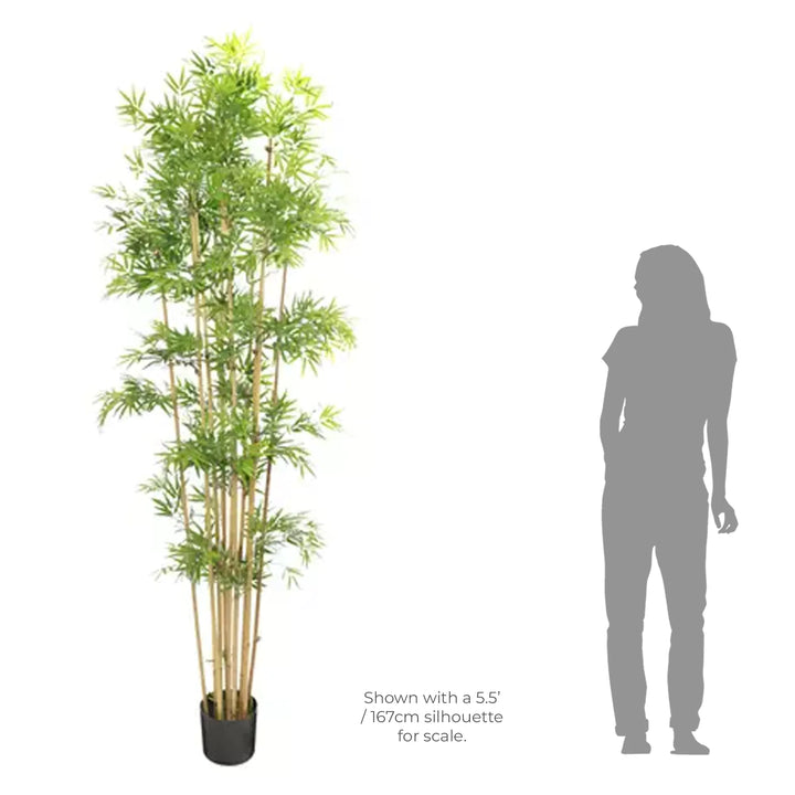 Faux Japanese Bamboo Tree Large - 2.3m