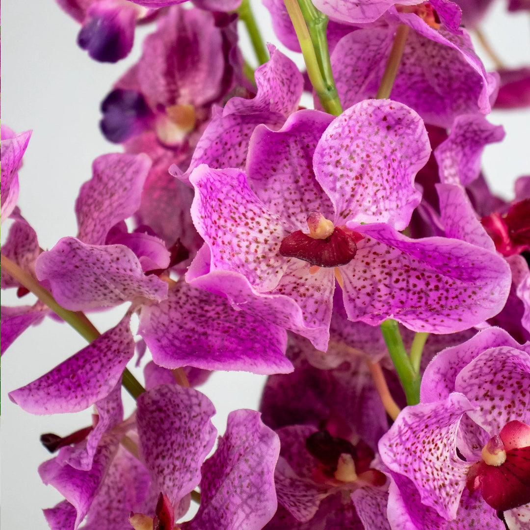 Faux Vanda Orchid Arrangement 75cm (H)