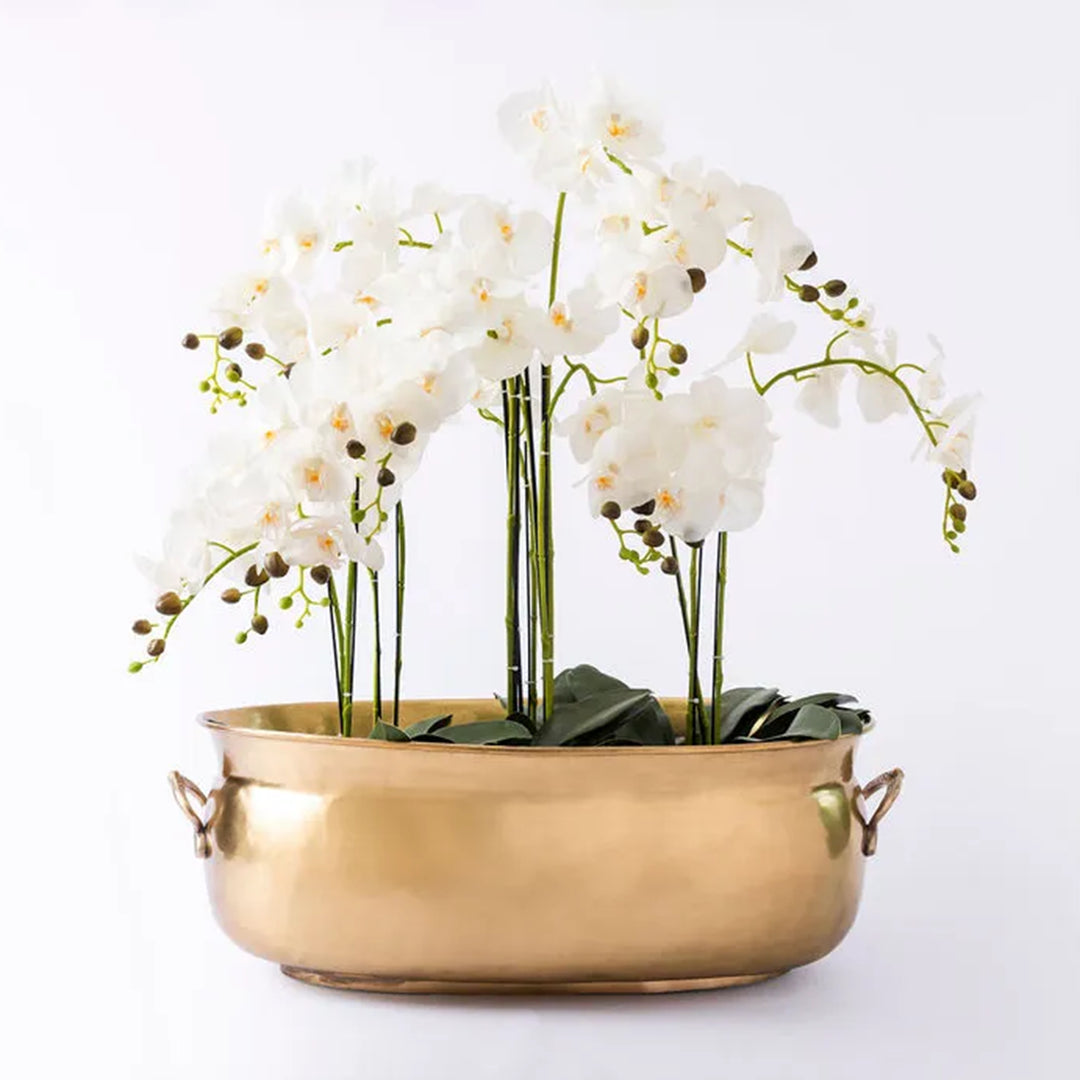 Wine Cooler Tub Oval or Planter (80cmL) XXXL