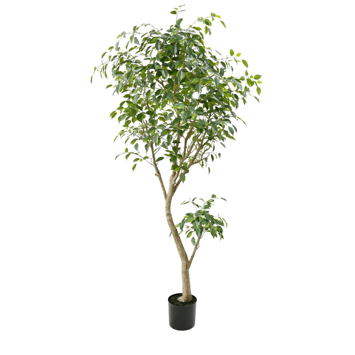 Faux Ficus Benjamina Tree 2.06m
