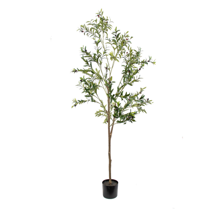 Faux Olive Tree Luxe(1.82m)