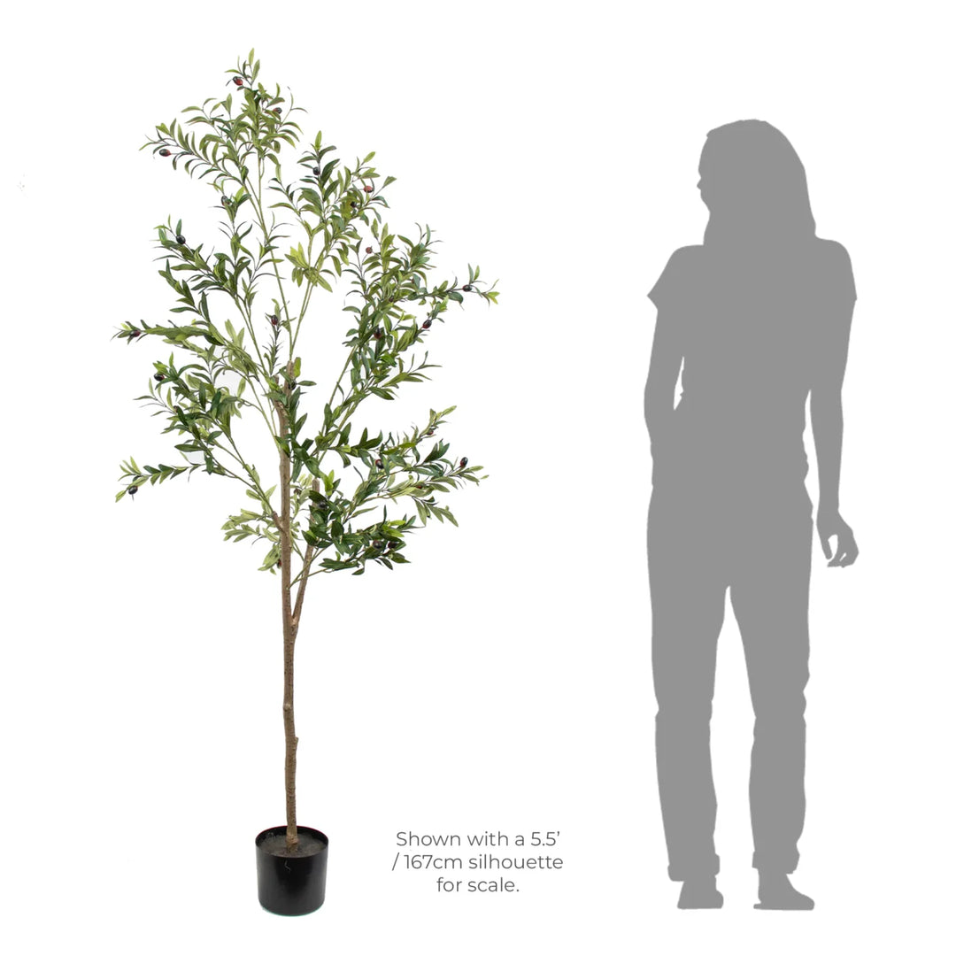 Faux Olive Tree Luxe(1.82m)
