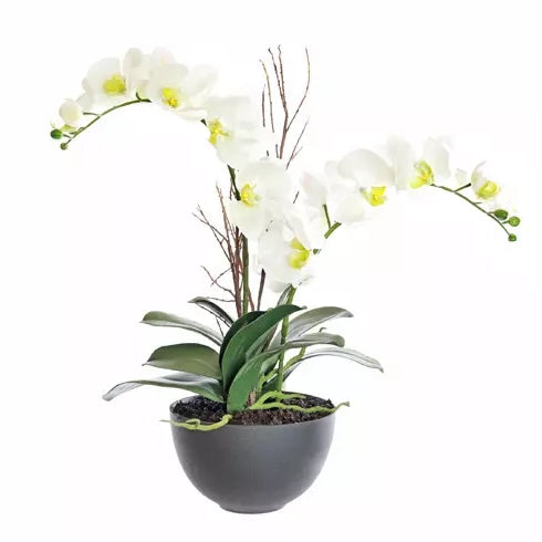 Faux White Phalaenopsis Orchid and Twigs - 56cm (H)