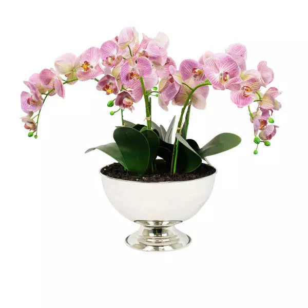 Faux Mauve Phalenopsis Orchid Arrangement in Silver Container 55cm (H)