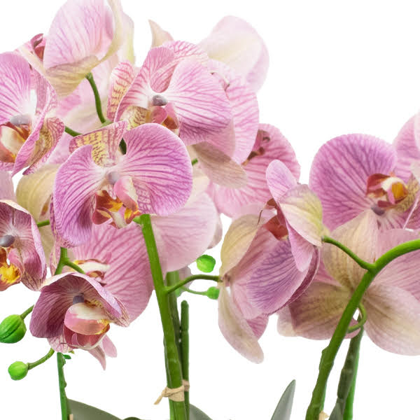 Faux Mauve Phalenopsis Orchid Arrangement in Silver Container 55cm (H)