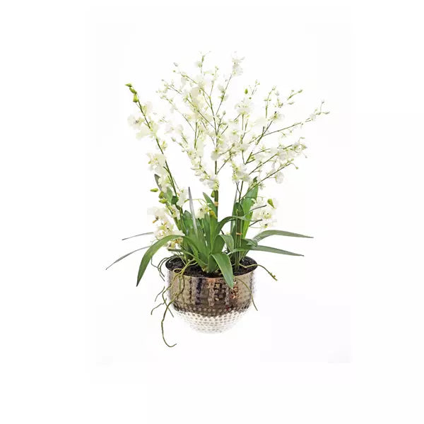 Faux Dancing Orchid Arrangement