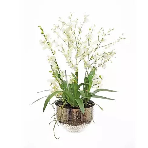 Faux Dancing Orchid Arrangement 75cm (H)