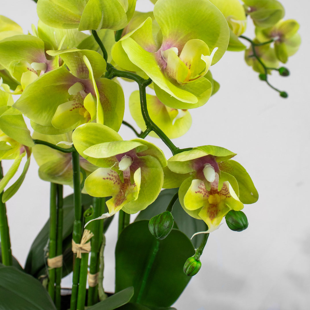 Faux Green Orchid Arrangement 65cm (H)