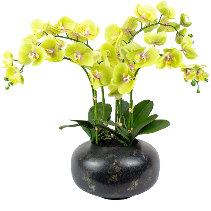 Faux Green Orchid Arrangement 65cm (H)