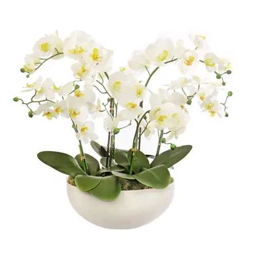 Faux White Phalaenopsis Arrangement Faux 53cm (H)