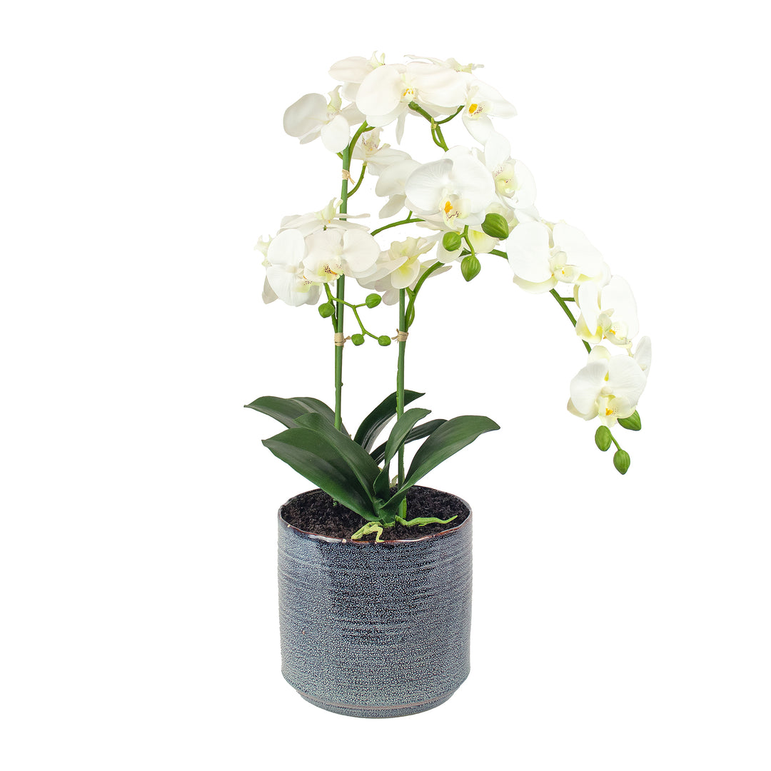 Faux White Phalaenopsis Orchid in Grey Ceramic Pot 64cm (H)