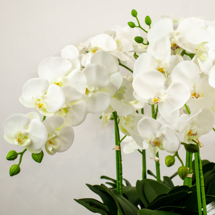Faux White Phalaenopsis Orchid in Silver Oblong planter 58cm (H)