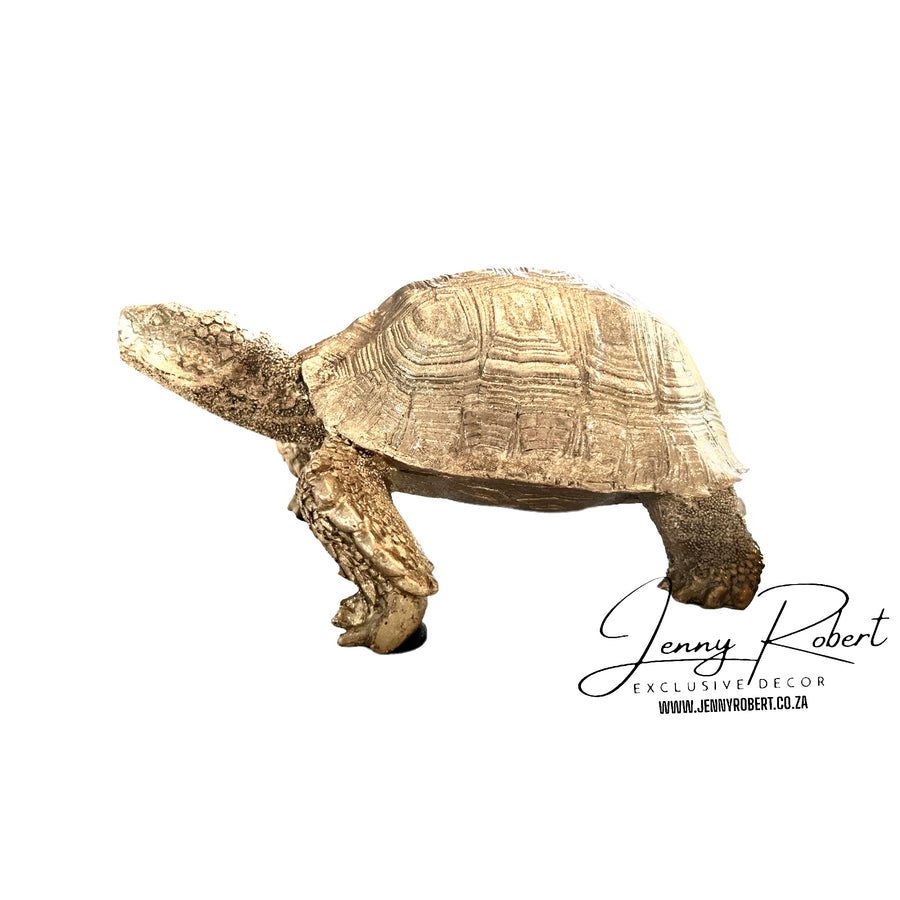 Tortoise Objet Gold
