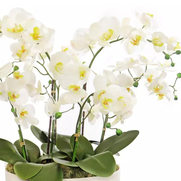 Faux White Phalaenopsis Arrangement Faux 53cm (H)