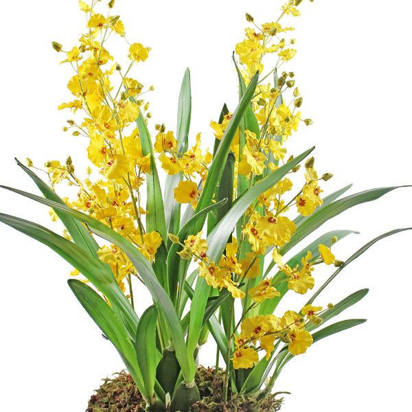 Faux Yellow Dancing Orchid Arrangement in Silver Container 80cm (H)