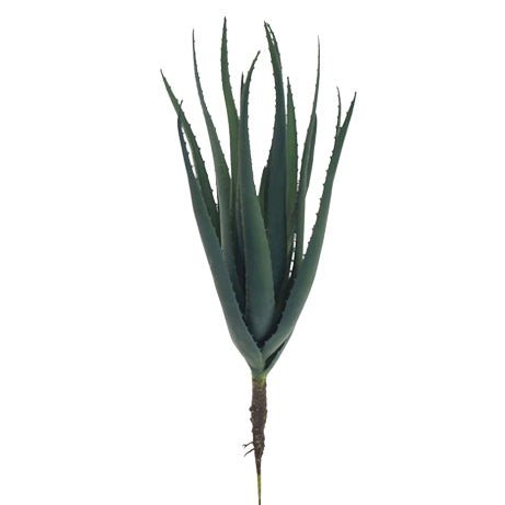 Faux Aloe Succulent