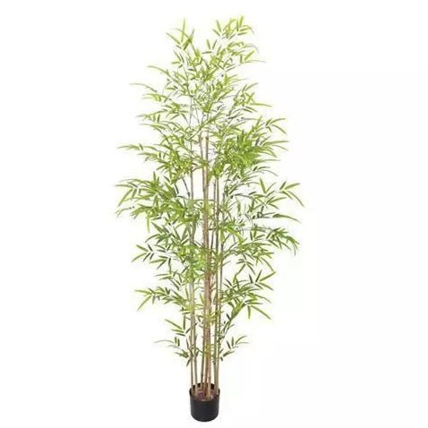 Bamboo Tree Large Faux - 1.8m