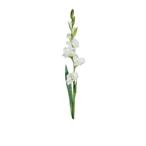 Gladiolus Stem White Faux 99cm