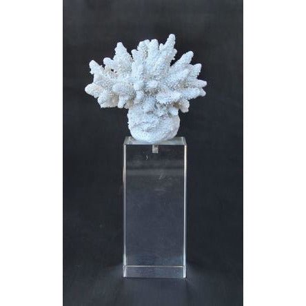 Coral on Crystal Stand Ornament