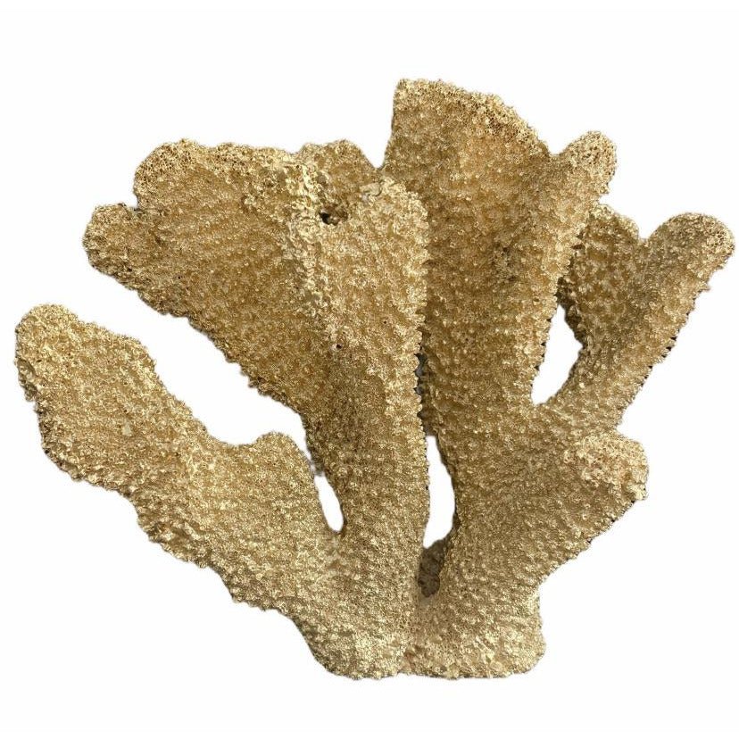 Coral Ear