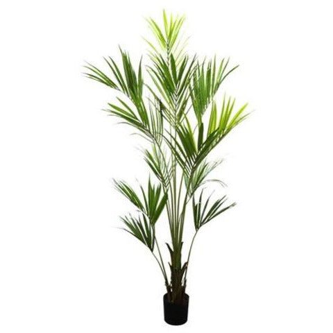 Palm Plant Tree Kentia Faux (2.2m)