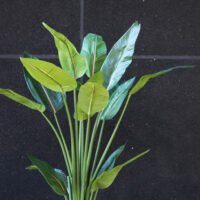 Strelitzia Plant Faux - 1.18m