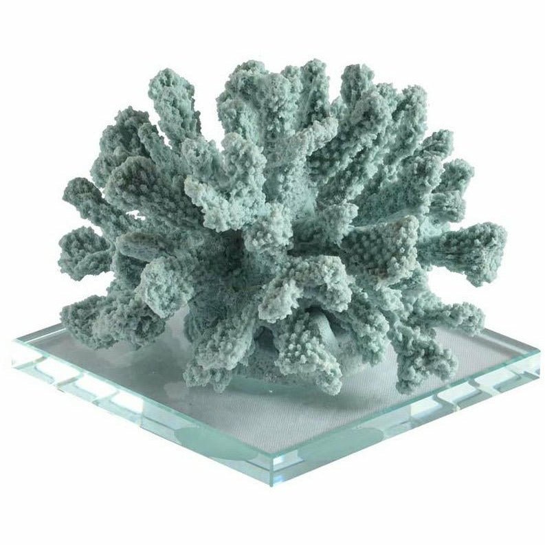 Coral Classic on Glass Stand