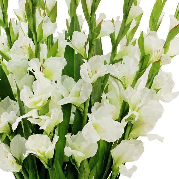 Faux White  Gladiolus Arrangement (90cm)