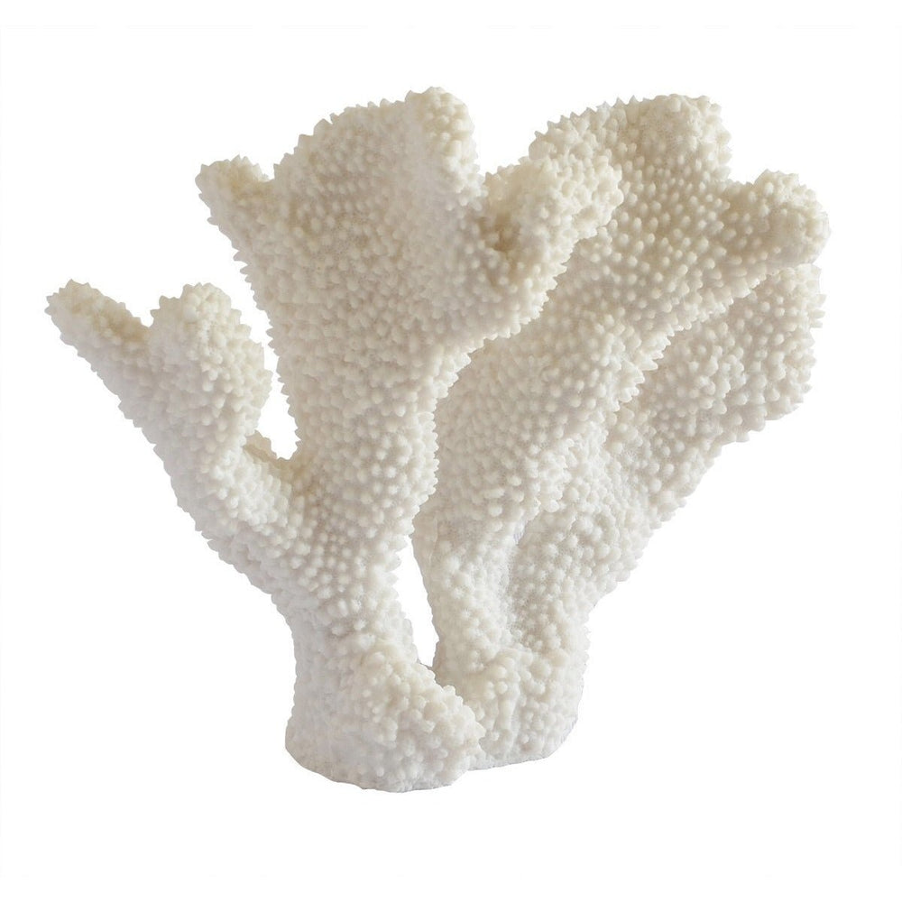 Coral Ear