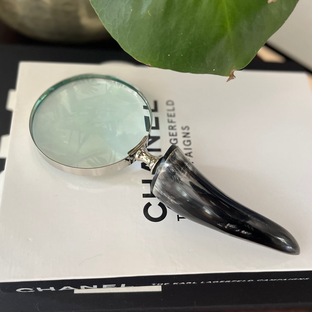Magnifying Glass Horn Curved (MED)