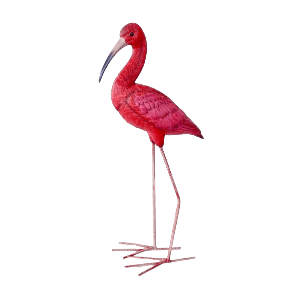 Ibis Bird Pink Tall (XL)
