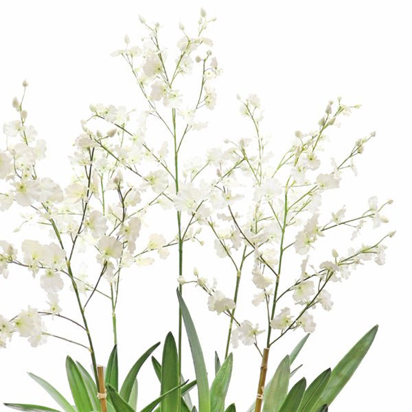 Faux Dancing Orchid Arrangement