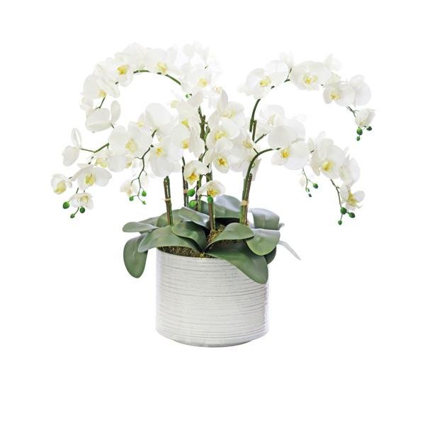 Faux White Phalaenopsis Arrangement (68cmH)