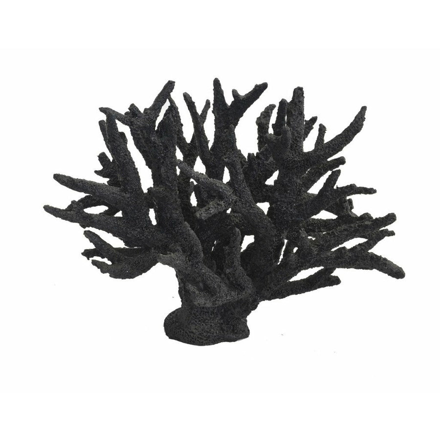 Coral Branch